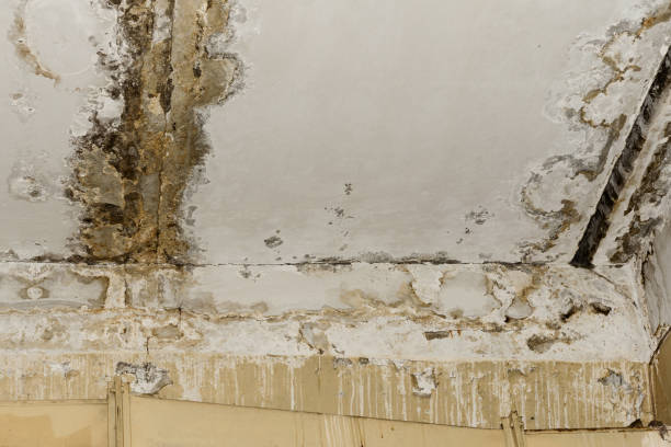 Professional Water damage restoration in Kearns, UT